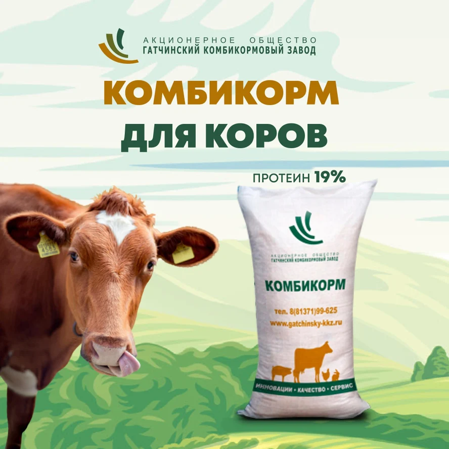 КК 60/19%