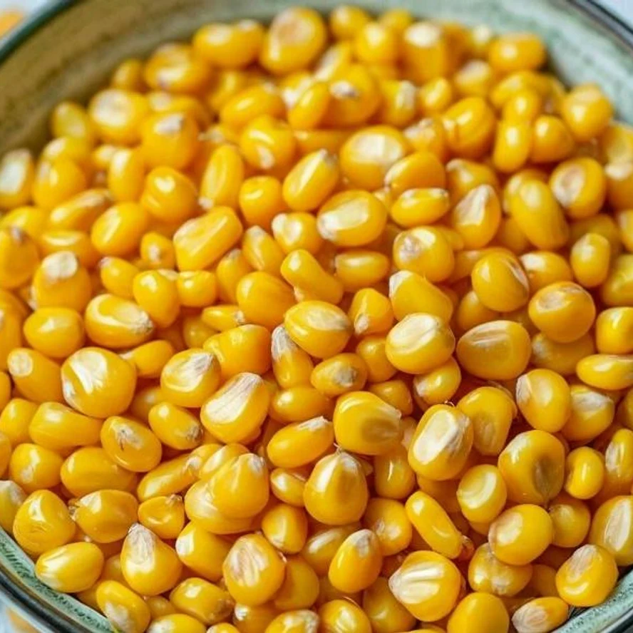 Кукуруза