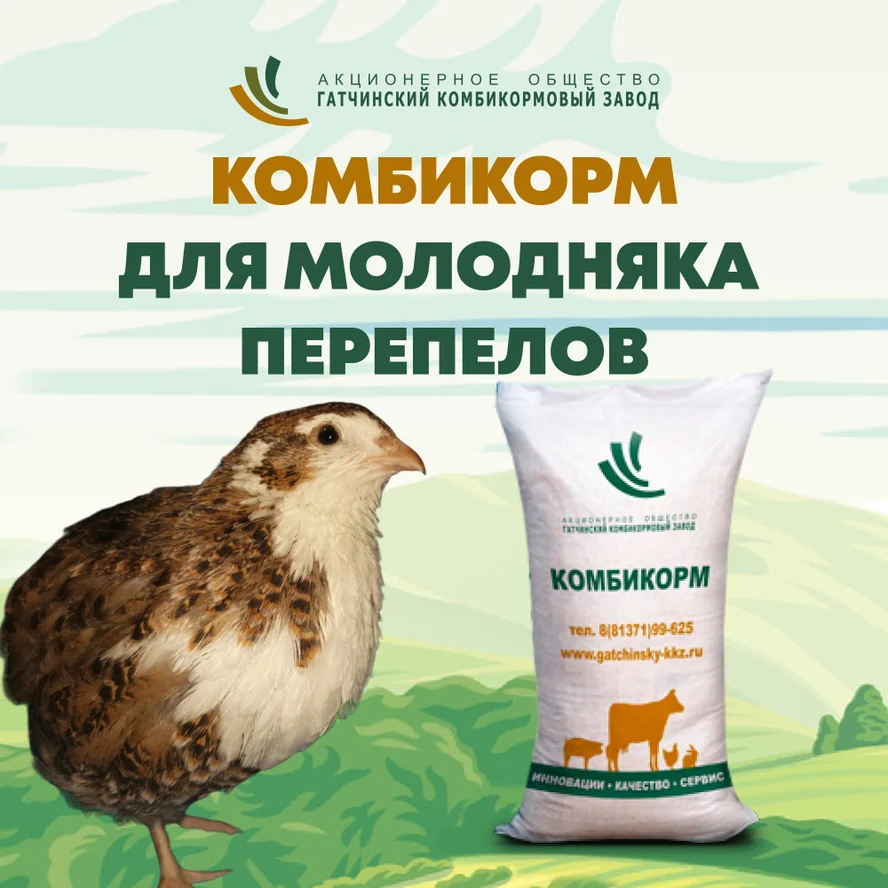 ДК-51- комбикорм для молодняка перепелов от 7 недель